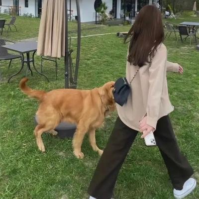 我的超级前女友